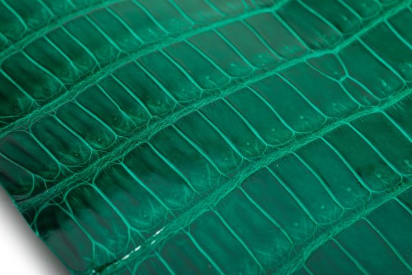Porosus Crocodile Tails - Luxury Skins (Glazed Geranium) 40% OFF! on Sale - Image 3