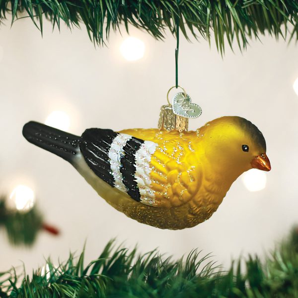Hanging American Goldfinch Online now